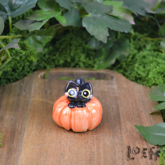 Tiny Kitty in Pumpkin 1