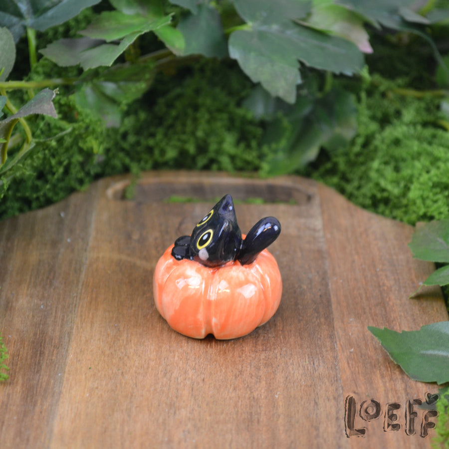 Tiny Kitty in Pumpkin 1