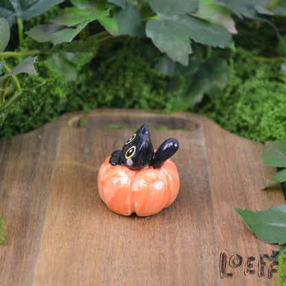 Tiny Kitty in Pumpkin 1