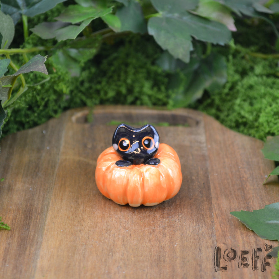 Tiny Kitty in Pumpkin 2