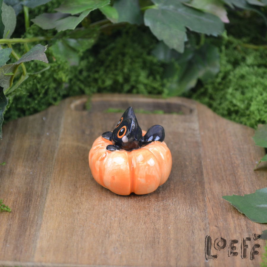 Tiny Kitty in Pumpkin 2