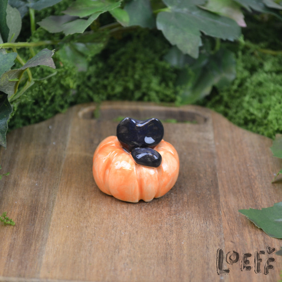 Tiny Kitty in Pumpkin 2