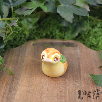 Tiny Turtleduck