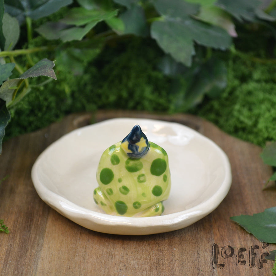 Trinket Tray Wizard Frog