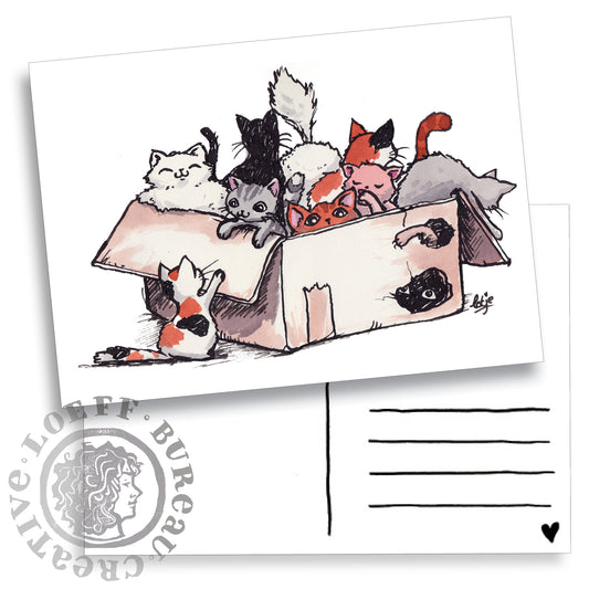 Box of Cats Card