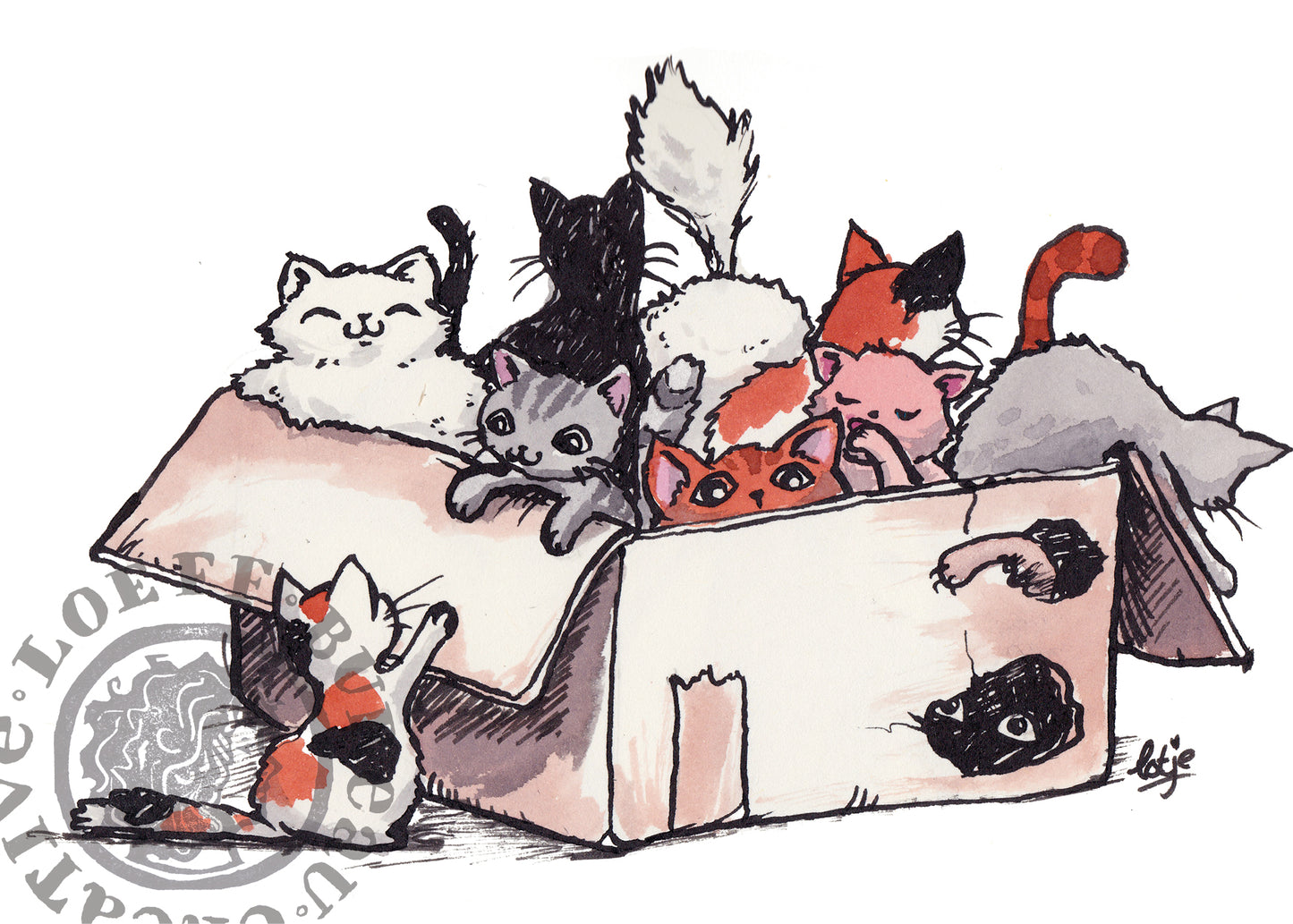 Box of Cats Card