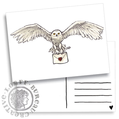 Owl Post Card