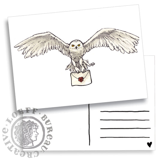 Owl Post Card