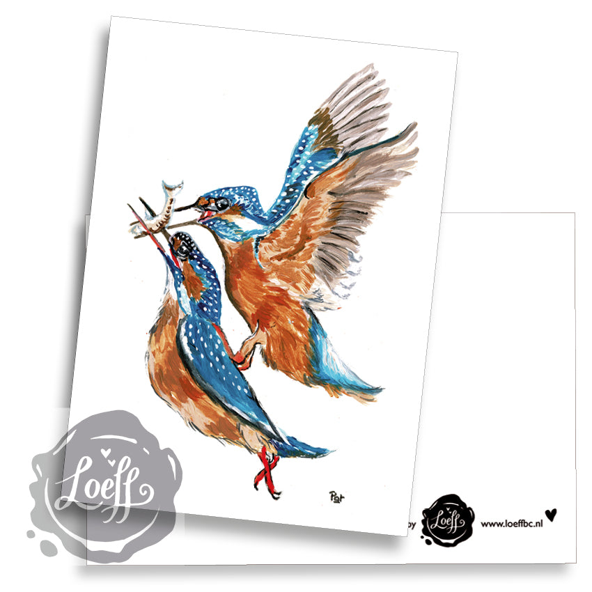 Kingfishers Card