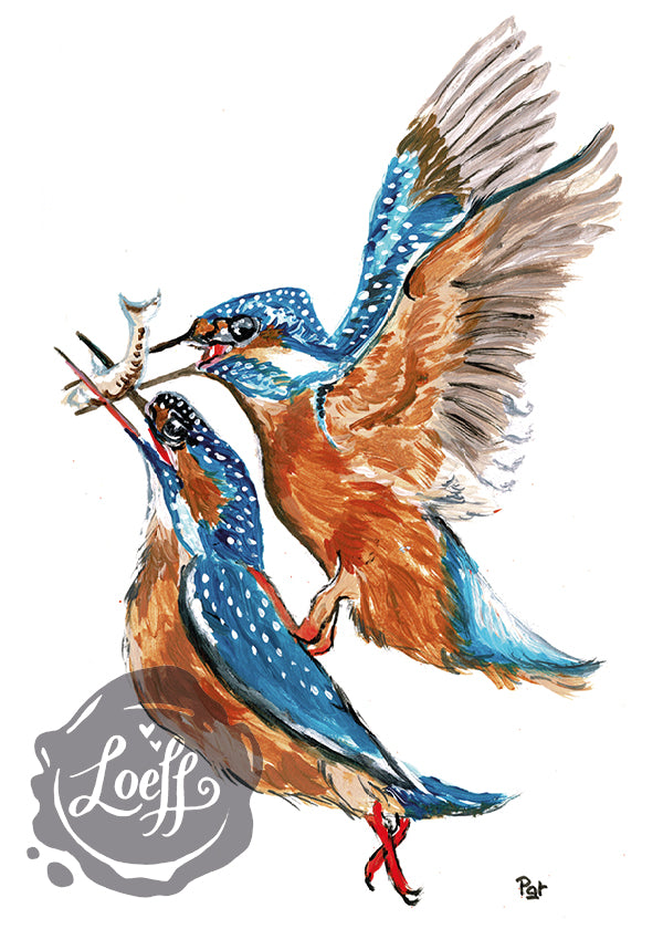 Kingfishers Card