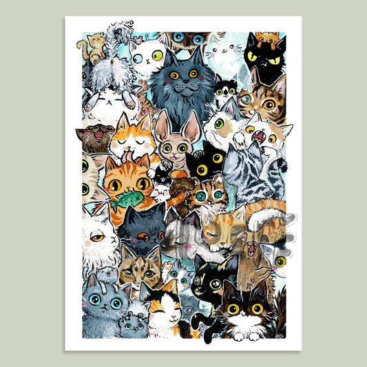 Cats Assortment Card