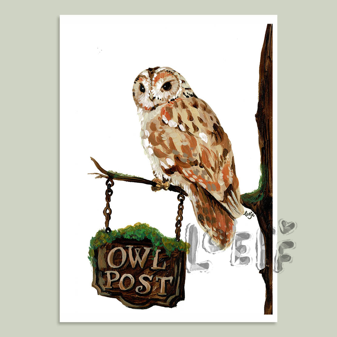 Owl Post Card