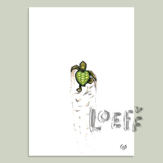 Turtle Trail Card