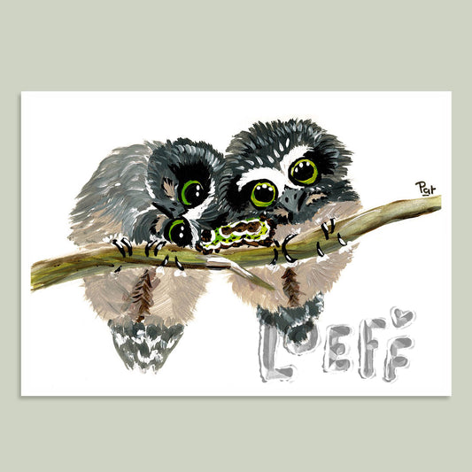 Two Owls Card