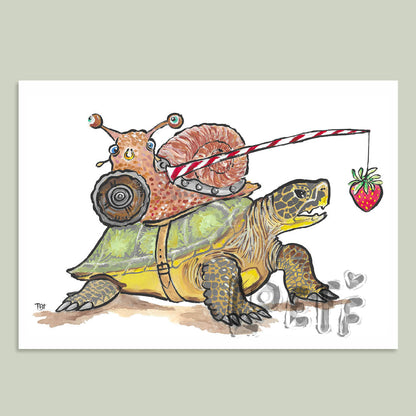 Turtle Warrior Card