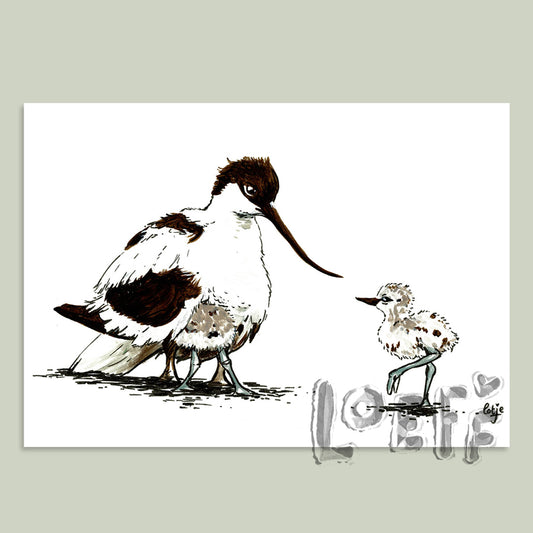 Kluut Card