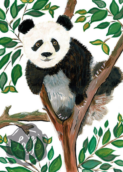 Panda in Tree Card