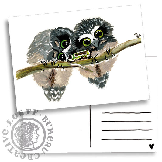 Two Owls Card