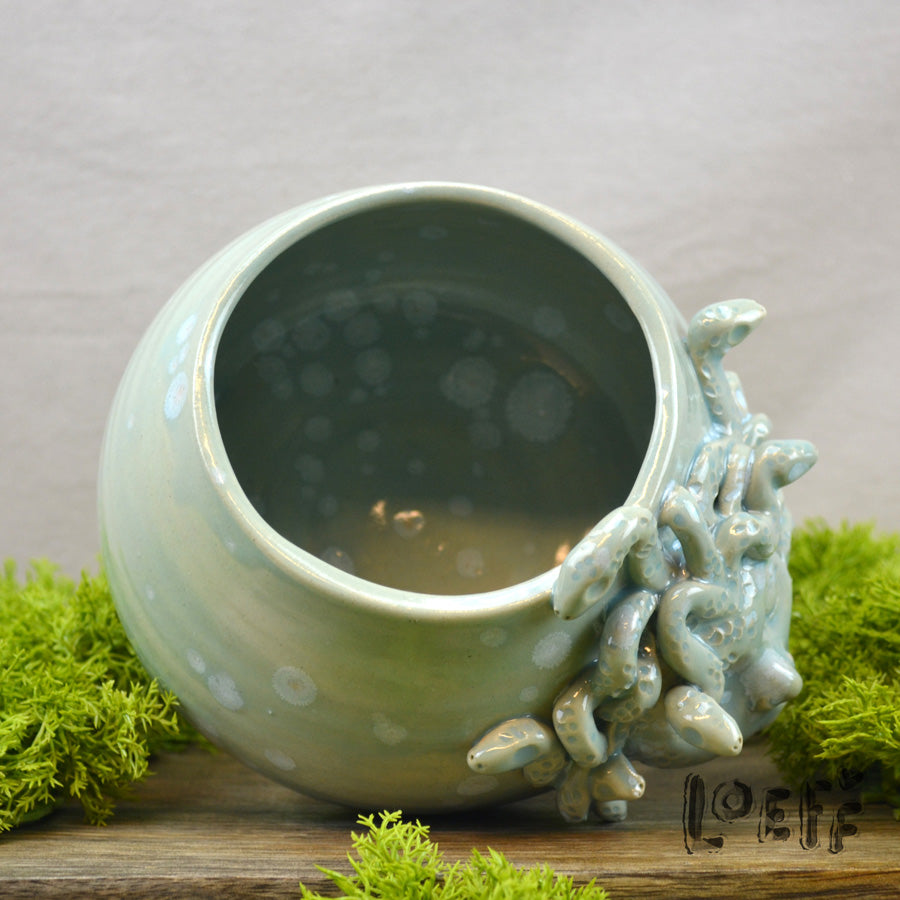 Loeff Jar Medusa