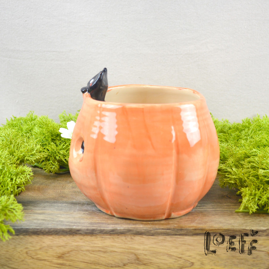 Planter Pumpkin with Black Cat