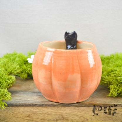 Planter Pumpkin with Black Cat