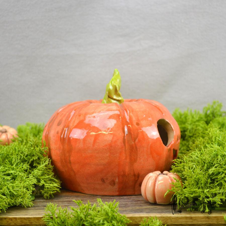 Pumpkin Two Faced XL