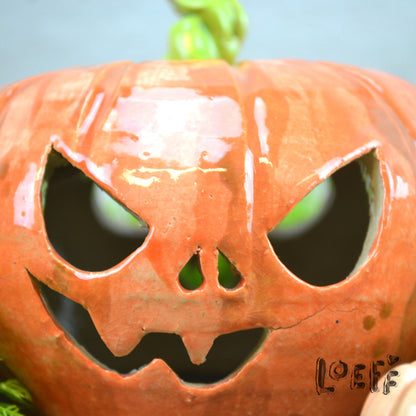 Pumpkin Two Faced XL