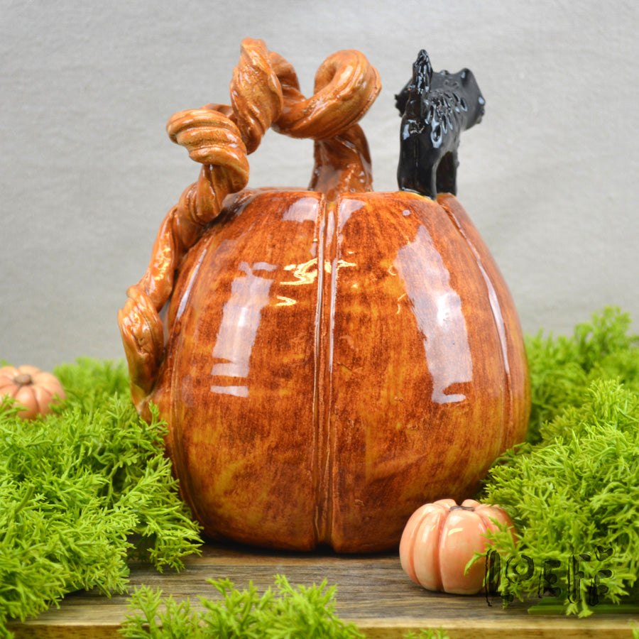 Pumpkin Black Cat