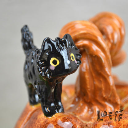 Pumpkin Black Cat