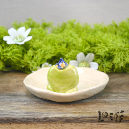 Trinket Tray Magic Frog